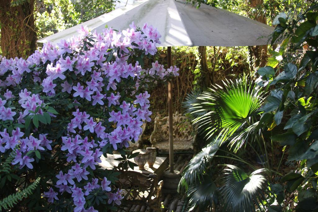 La Casona De Grace Bed & Breakfast Olivos Exterior photo